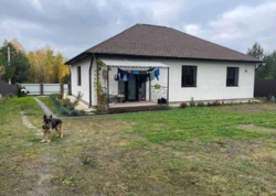 Продаж будинку та земельної ділянки на 10 соток Гореничі фото 4 Продаж будинку та земельної ділянки на 10 соток Гореничі фото 4