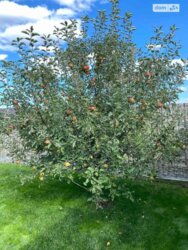 Продається будинок Київ, Дарницький, С Гора фото 4 Продається будинок Київ, Дарницький, С Гора фото 4