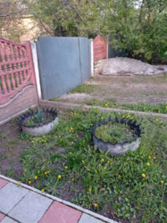 Продається будинок Київська, Броварський фото 10 Продається будинок Київська, Броварський фото 10