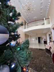 Продається будинок в с. Чайки фото 3 Продається будинок в с. Чайки фото 3