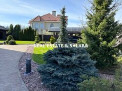 ������ ������� �. ����������� ���� 4