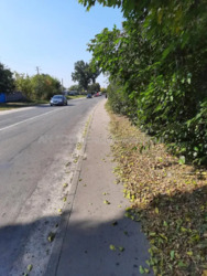 Продається будинок Київська, Васильківський, Путрівка фото 20 Продається будинок Київська, Васильківський, Путрівка фото 20