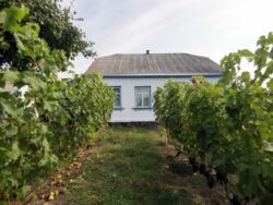 Продається будинок Київська, Білоцерківський фото 2 Продається будинок Київська, Білоцерківський фото 2