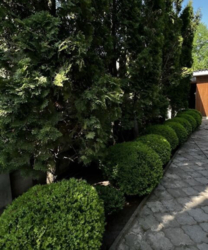 Продаж 2 поверхового будинку з верандою і ділянкою на 11 соток, 600 кв. м,на вул. Сильвестра Косова фото 3 Продаж 2 поверхового будинку з верандою і ділянкою на 11 соток, 600 кв. м,на вул. Сильвестра Косова фото 3