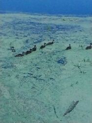 Продаж будинку на ул. Лесничая фото 6 Продаж будинку на ул. Лесничая фото 6