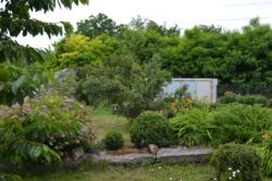 Продається будинок Київська, Кагарлицький, Сущани фото 2 Продається будинок Київська, Кагарлицький, Сущани фото 2