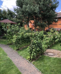 Продаж 2 поверхового будинку з верандою і ділянкою на 12 соток, 320 кв. м, 6 кімнат, на вул. Вірності 33 • фото 5 Продаж 2 поверхового будинку з верандою і ділянкою на 12 соток, 320 кв. м, 6 кімнат, на вул. Вірності 33 • фото 5