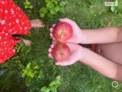 Продаж будинку на Софіївській Борщагівці фото 14 Продаж будинку на Софіївській Борщагівці фото 14