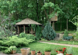 Продаж будинку Віта-Поштова фото 3 Продаж будинку Віта-Поштова фото 3