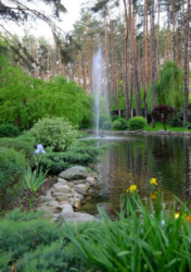 Будинок, Буча Лісова фото 2 Будинок, Буча Лісова фото 2