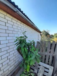 Продається будинок Київська, Васильківський, Путрівка фото 18 Продається будинок Київська, Васильківський, Путрівка фото 18