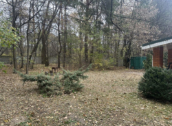 Продається теплий, затишний будинок, ділянка 12 соток, ліс фото 6 Продається теплий, затишний будинок, ділянка 12 соток, ліс фото 6