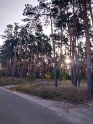 Продаж будинку на ул. Лесничая фото 13 Продаж будинку на ул. Лесничая фото 13