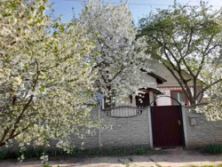 Продається будинок Київська, Броварський фото 4 Продається будинок Київська, Броварський фото 4