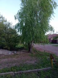 Продається будинок Київська, Броварський фото 9 Продається будинок Київська, Броварський фото 9