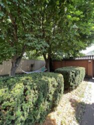 Продається будинок загальною площею 291.кв.м Софіївська Борщагівка. фото 3 Продається будинок загальною площею 291.кв.м Софіївська Борщагівка. фото 3