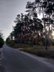 Продаж будинку на ул. Лесничая фото 12 Продаж будинку на ул. Лесничая фото 12