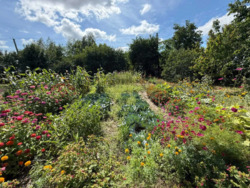Продається будинок Київська, Баришевський, Баришівка фото 15 Продається будинок Київська, Баришевський, Баришівка фото 15
