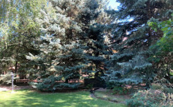 Продаеться особняк на Вітряних горах фото 25 Продаеться особняк на Вітряних горах фото 25