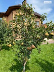 Продається будинок Київ, Дарницький, С Гора фото 5 Продається будинок Київ, Дарницький, С Гора фото 5