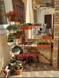 Таунхаус з ремонтом та технікою Білогородка (Шевченкове) фото 3 Таунхаус з ремонтом та технікою Білогородка (Шевченкове) фото 3