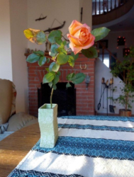 Будинок 300 м. кв. Бортничі, Київ фото 4 Будинок 300 м. кв. Бортничі, Київ фото 4