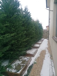 ������ �������! ���� 23