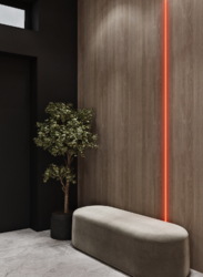 🏡     ,   . .  12