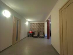 🏡            -!  36