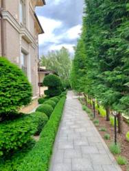 ��� � ��������� ������