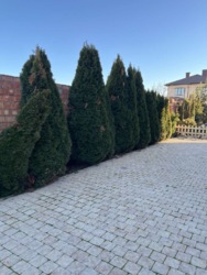 Продажа дома в Совиньоне! фото 3 Продажа дома в Совиньоне! фото 3