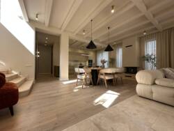 🏡          , .  20