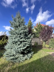 ������! ������ ������� � ����������� ���������� ������� ��������! ���� 7