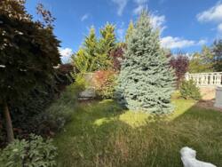 ������! ������ ������� � ����������� ���������� ������� ��������! ���� 8