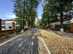 🏡    550 ²   (. ), .  5