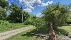 ������ ������� ���� 12