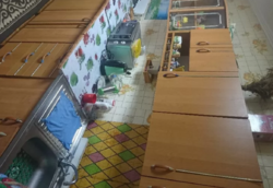 Продаю 1 поверховий дім з садом і ділянкою на 45 соток, 80 кв. м, 4 кімнати, Хмельницький фото 13 Продаю 1 поверховий дім з садом і ділянкою на 45 соток, 80 кв. м, 4 кімнати, Хмельницький фото 13