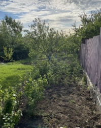 ������ ������� ���� 11