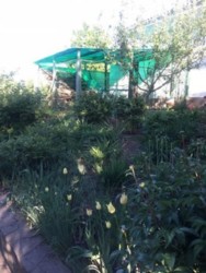 Продается дом пров. Заярний, Хмельницкий, Хмельницкая, Книжковцы фото 19 Продается дом пров. Заярний, Хмельницкий, Хмельницкая, Книжковцы фото 19