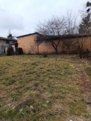 ������ ������� ���� 23