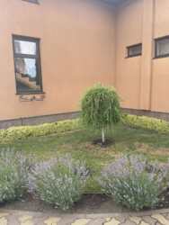 ������ ������� � ����� ������� ���� 3