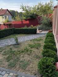 ������ �������������� ������� ϳ������-�����. ���� 1