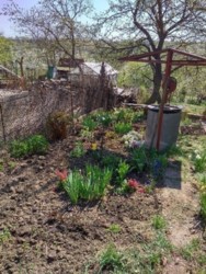 ������ ���� ������� �������� 50 ��.� ���� 5