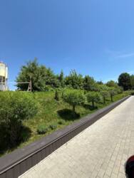 ������ ������ ������ �������� ���� 7