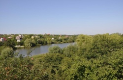 ��������� ��� ������ ���� ������ �����, ���������, �����������, ����������� ���� 13