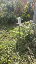 ������� �. �������� ���� 17