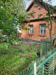 ������ ����� ���� ���� 1