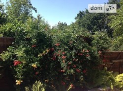 ������� � ���� ������� ���� 2