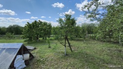 ������ ������� ���� 7