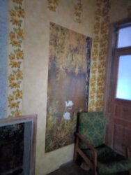 Продаж будинку з допоміжнимі спорудамі фото 18 Продаж будинку з допоміжнимі спорудамі фото 18